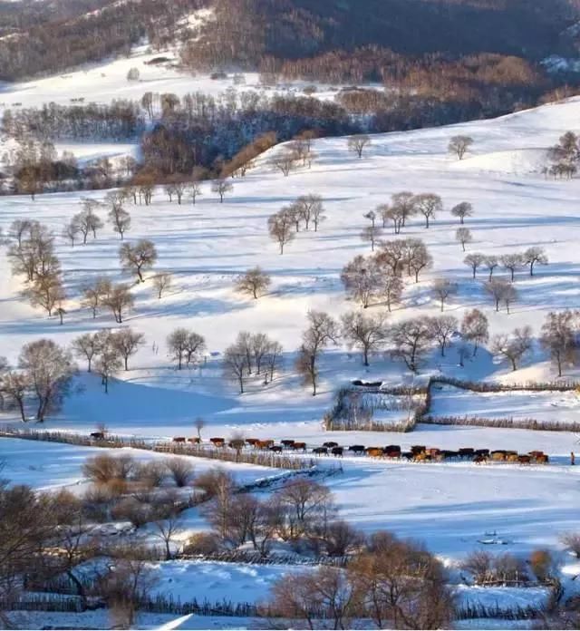 实拍张家口草原天路大雪，这样的寂静你见过吗