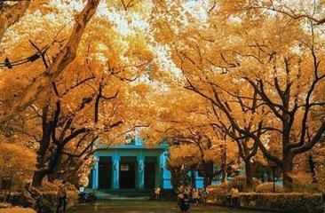 高中物理平时会做题,考试就发蒙怎么办?_【快