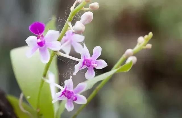 十首励志诗，送给2018年的你_【今日爆点】