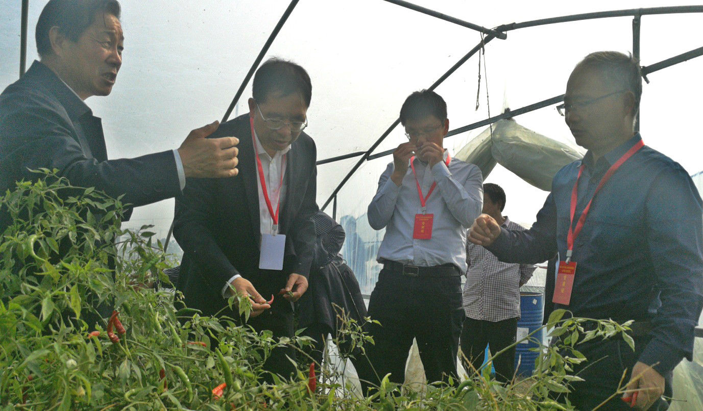 山东能源高质量发展