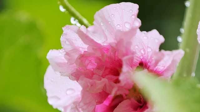 脉脉怎么知道我名字