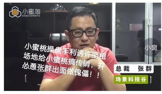 小蜜淘涉嫌传销,张群傀儡,面临调查被捕!_【快