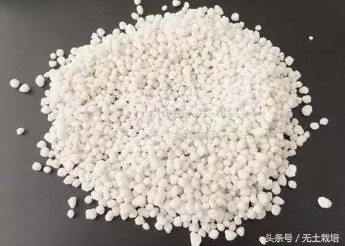 买回家的植物,怎么养护都不开花怎么办?早看早知道!