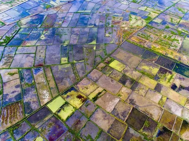 3月，美的不仅是丽江，更是丽江旁边的这座小城！