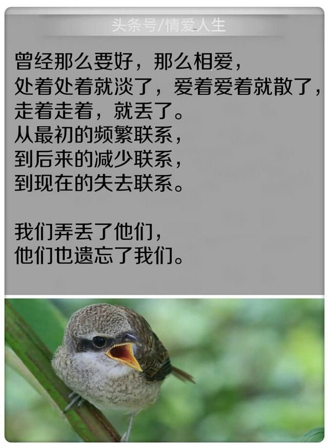 有些人,爱着爱着就散了,走着走着就丢了,再也联