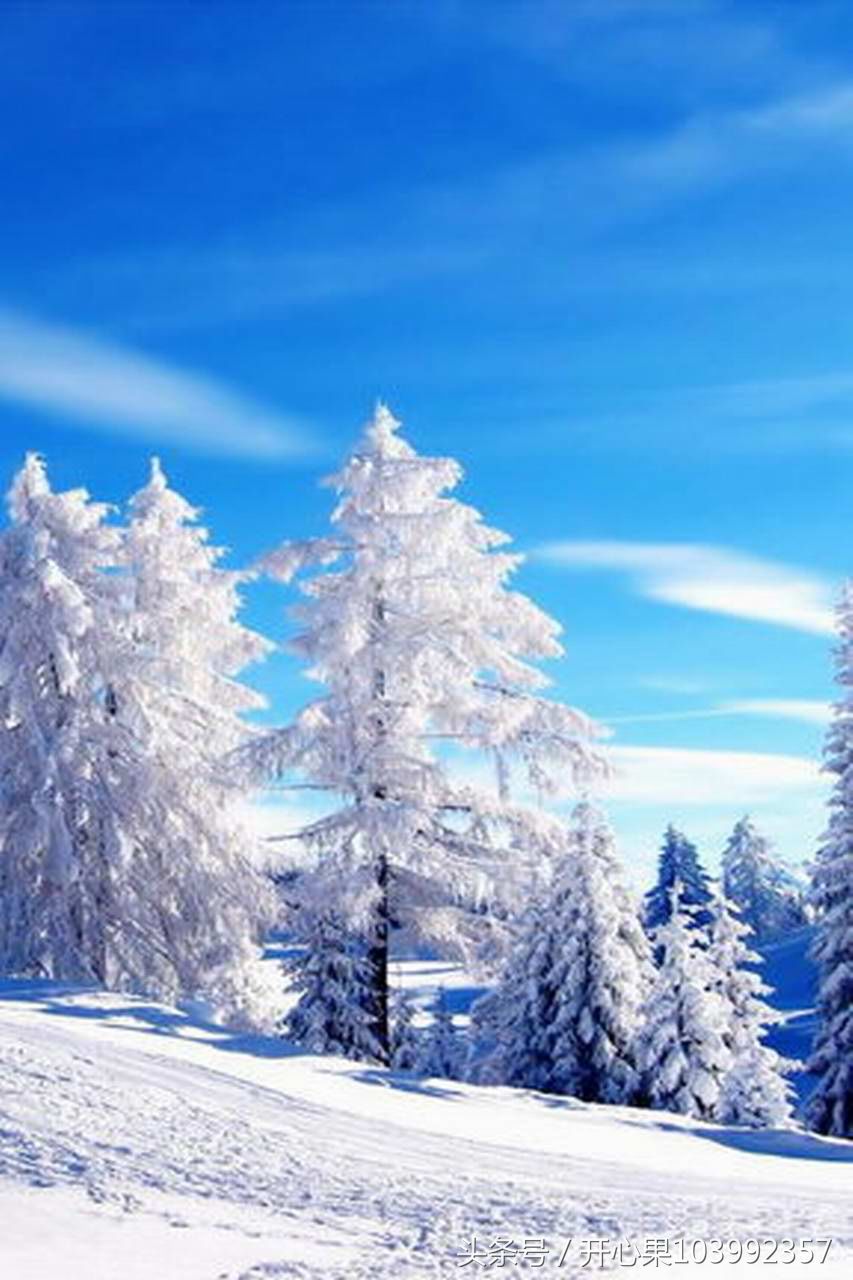 54张适合做手机壁纸的雪景图片,希望你喜欢!
