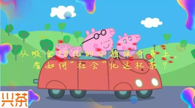 从吸金70亿的小猪佩奇身上,看社化这橘包猫情表图片