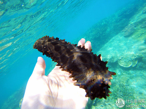 头脑一热，去马来西亚热浪岛了