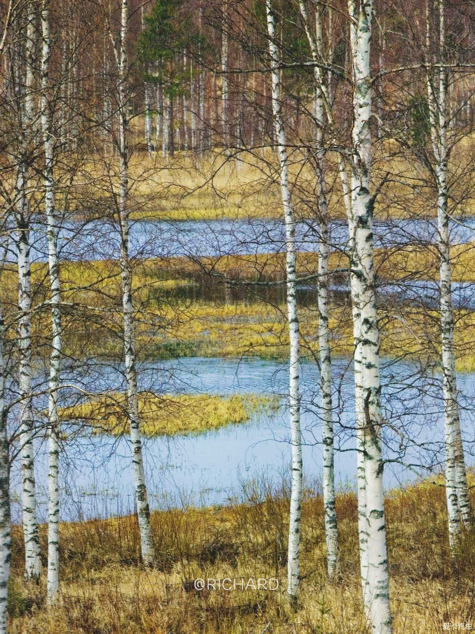 【Richard作业】向北欧出发，一路清呼吸#冬春维京#