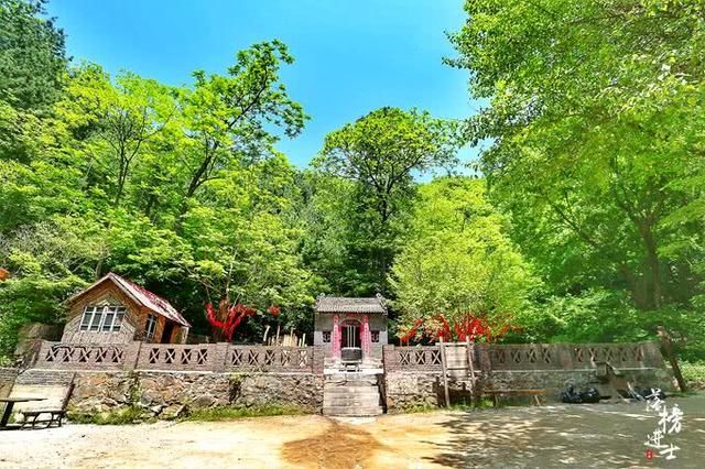 我国这个景点以苔藓众多闻名，很像日本的西芳寺，游客多为日本人