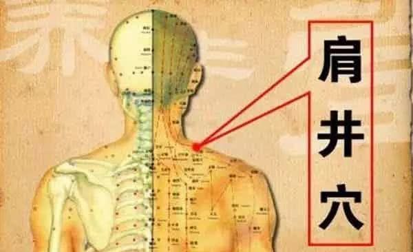 颈椎病的“克星”,肩井穴!_【快资讯】 百乐宫官网