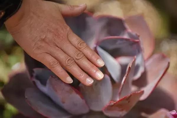 中国最美的尼姑庵，不烧香只种花，韩红也慕名而来！