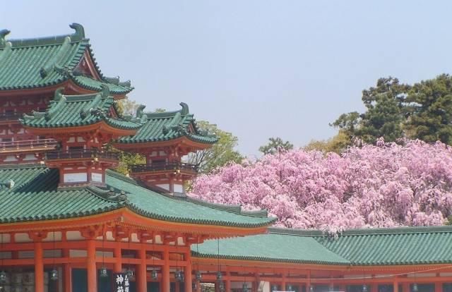 签证|这些国家免签!来一场说走就走的旅行吧