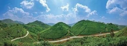 陈情令拍摄景点在哪里