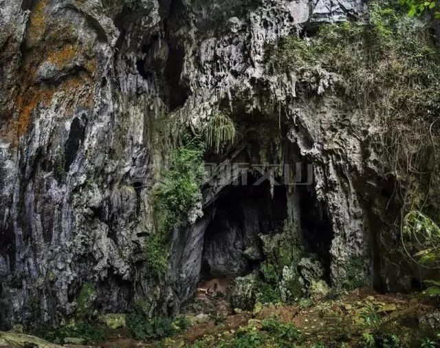 云南大阴洞遗址考古发现人类早期洞穴墓地