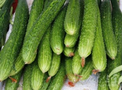 黄瓜有什么营养 吃黄瓜美容又治病