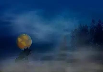 理财最重要的第一步