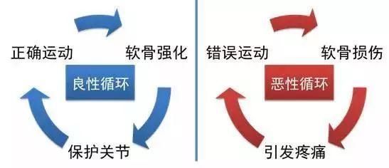 我想健康跑步一辈子：怎样跑步才能防止关节软骨磨损