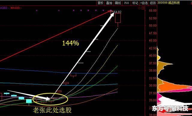 中国芯片最强龙头诞生,神秘机构45亿举牌，4月行情势不可挡！