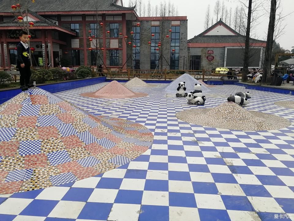 参观牛碾坪万亩观光茶