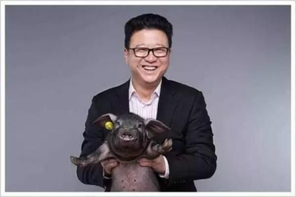 丁磊说养猪，养猪场太难办！