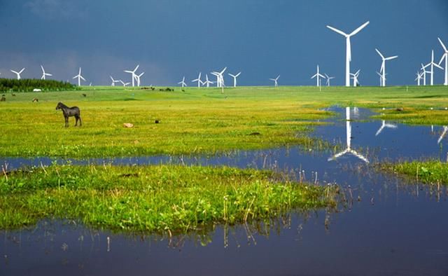 辉腾锡勒黄花沟草原
