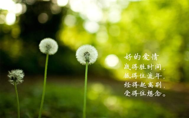 比较护眼的壁纸 t01c85f16c82fdd9a11.jpg