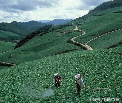 老农民一镐一锹开出的荒地，不给确权?集体还要收回，合理吗?