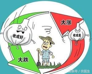 “蒜你狠”到“蒜你贱”，是谁掀翻了农民的“蒜盘”