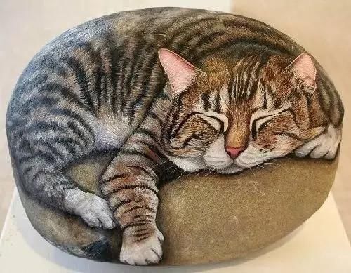 梦见狗吃猫,梦境背后的深层含义与解析 梦见狗吃猫,梦境背后的深层含义与解析