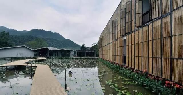 从废弃小学到绝美民宿！千亩稻田环绕、山泉水无边泳池，这间酒店