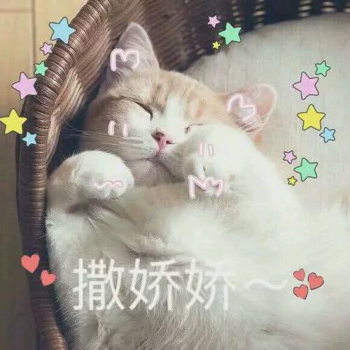 一组萌萌哒的表情,必备撩汉撒娇表情,赶快抱动态包污信微最神器图片