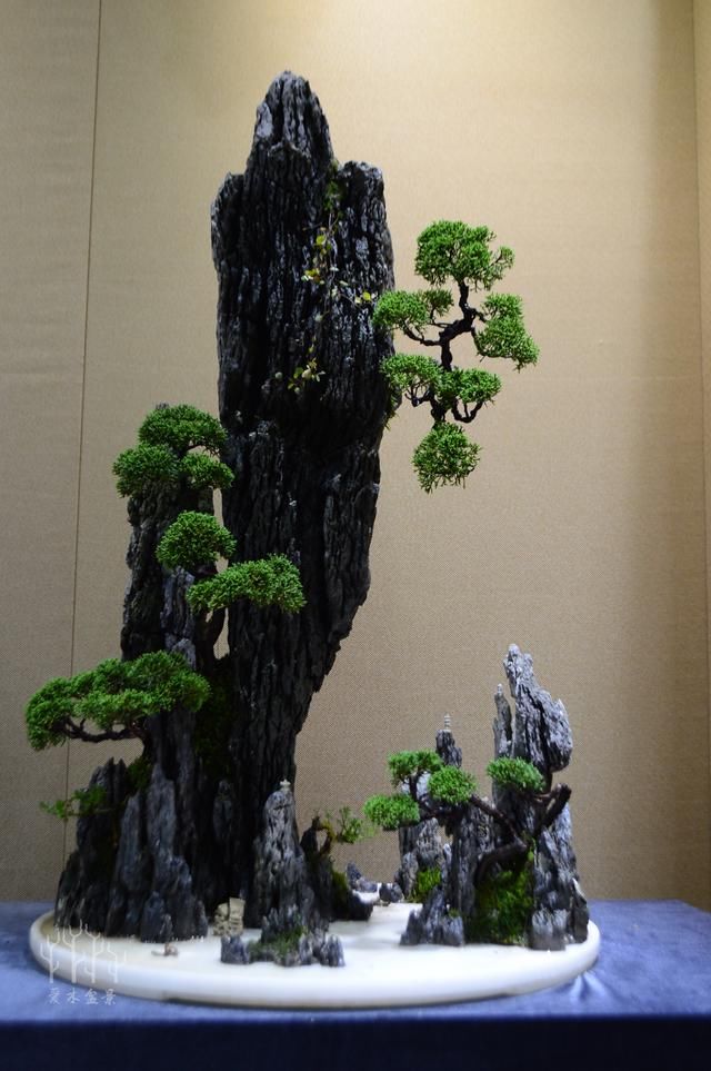 上海王元康大师的微型树石盆景，景小意境大，盆景大师上海展