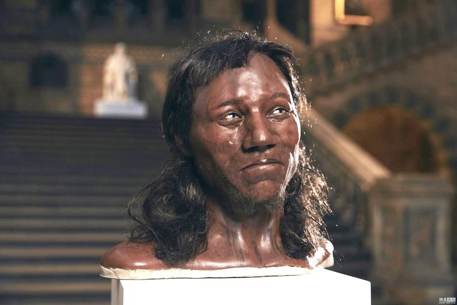 英国人祖先是黑皮?科学家重建切达人DNA