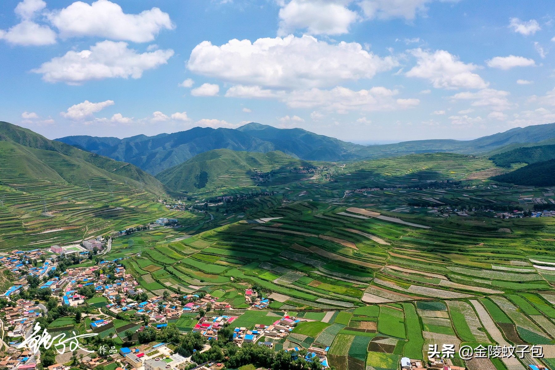 兰州高中下的梯田,说是黄土高原最美的花校长雪山余集海风图片