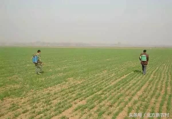 今天的降雨，辽西北干旱地区别指望‘下透’！下一场降雨啥时下？