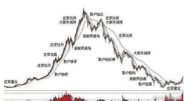 一个农民的炒股自述：我不是股市天才，但我跟庄抓牛都是从不失手