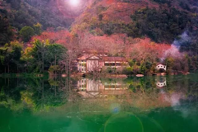 这里有峡谷、林海、古村、花海！昆明直达，美得无死角！