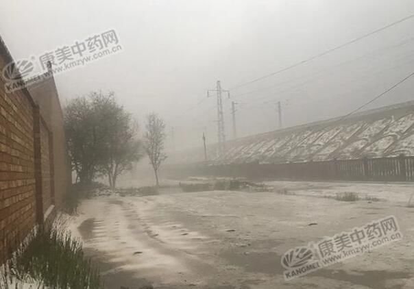 甘肃岷县遭遇特大暴雨冰雹，受灾有哪些？