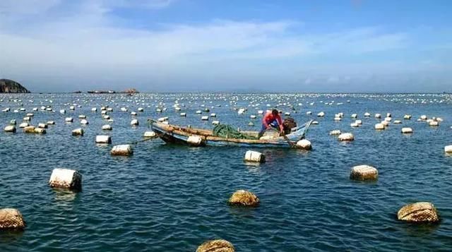 2018舟山最新招待指南,我在这里等你_【快资