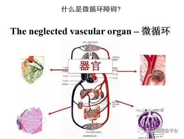 t01ca1814f11f7ba271.jpg