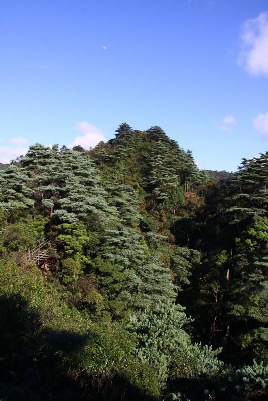 莽山国家森林公园风光