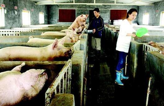 家庭农场注册条件