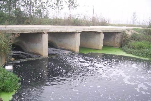 为缴纳粪税准备好了吗?排放了多少污染物能自