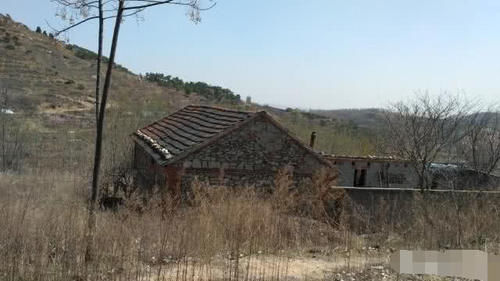 农村宅基地面积