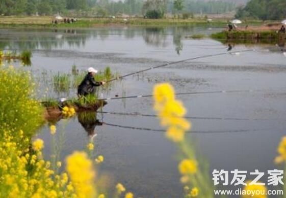 早春野钓如何选择出钓时间和天气？