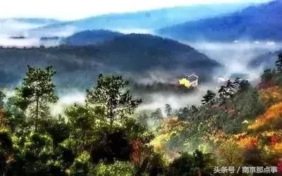 别总去中山陵夫子庙啦!南京这10个绝美冷门景点,小长假走起!