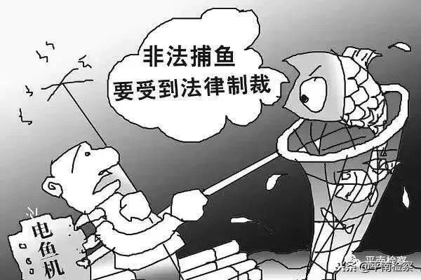 今天上午,平南县检察院监督贵港首例非法捕捞