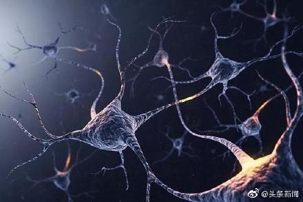 科学家确认新型痴呆症 或比阿尔茨海默病更严