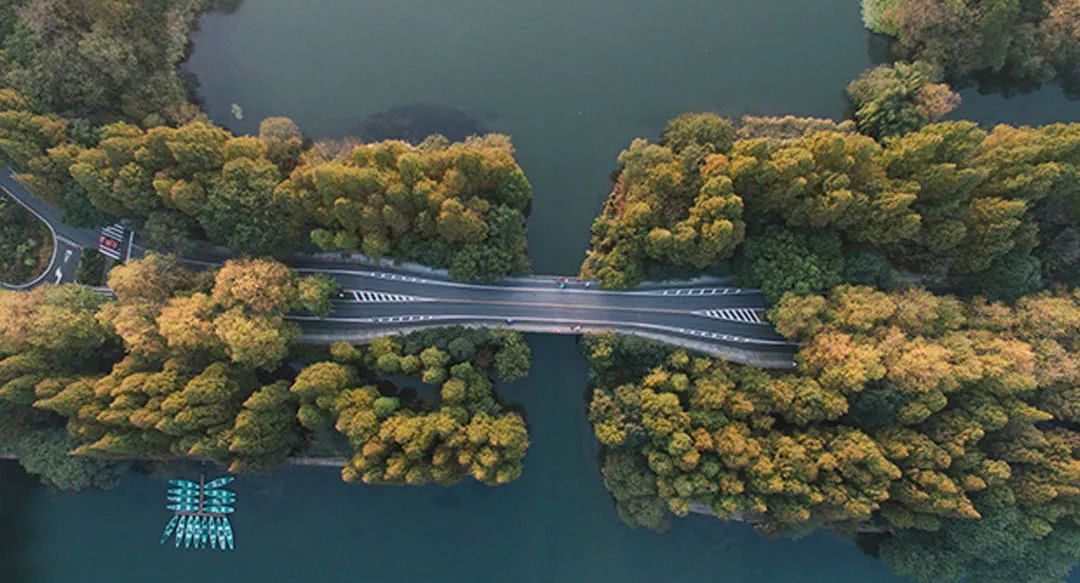 杭州多了一条最美“西湖夜游线”！苏堤、断桥……绝美景点都被承